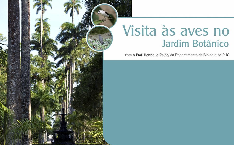 Visita �s aves